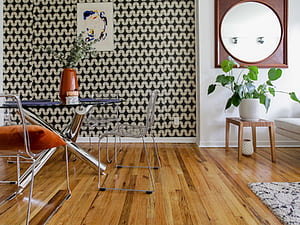 Tenant Screening: A 5 Step Guide on How to Do a Tenant Check, HD wallpaper