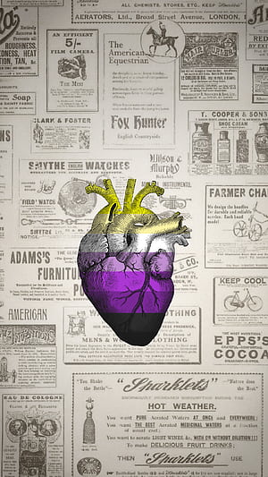 Nonbinary Flag, HD phone wallpaper