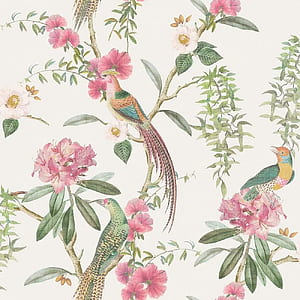 Exotic Garden Birds Pink & Green 924907, HD phone wallpaper