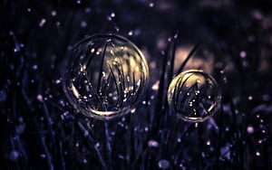 Bubble Pretty, HD wallpaper