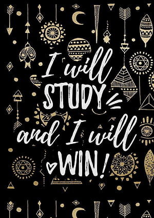 Group Study, HD phone wallpaper