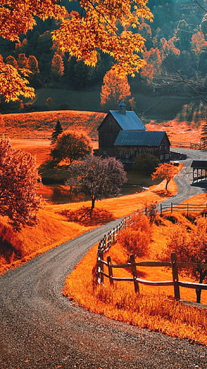Autumn iPhone, Fall, HD phone wallpaper