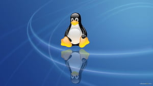 Linux Logo, HD wallpaper