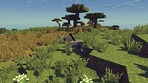 Minecraft 1.19.3 update is here! Check new features; spawn eggs, player skins, more. Gaming (HT Tech), HD wallpaper