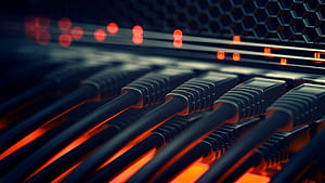 Computer Networking, Network Switch, HD wallpaper