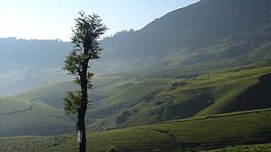 Beautiful Destinations In India To Experience Spring Season, HD wallpaper