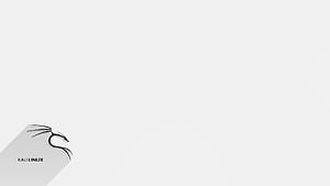 White Linux , Background, HD wallpaper