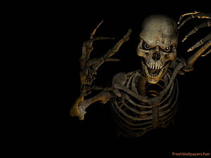 Skeleton, HD wallpaper