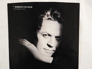 Robert Palmer Discipline Of Love SLEEVE! BRAND NEW! NICEST COPY eBAY!, HD wallpaper