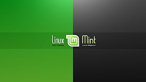 Mint Linux System Background, HD wallpaper