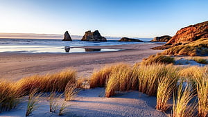 Natural landscape of Wharariki Beach at sunset, South Island, New Zealand. Windows Spotlight, HD wallpaper