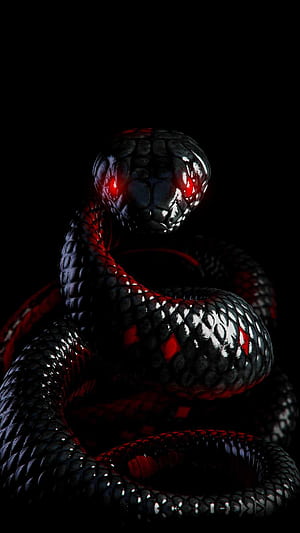iPhone Cool Snake, Black Python, HD phone wallpaper