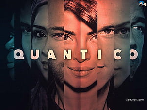 Quantico, HD wallpaper