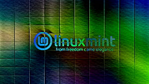 Linux Mint, Linux, Technology, HD wallpaper