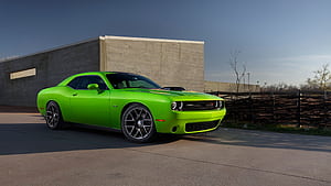 Green Hellcat, HD wallpaper