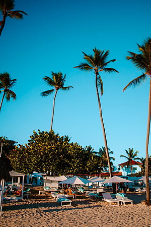 Bayahibe & Isla Saona, Dominican Republic: Best Things to Do. Dreams Become Wings, HD phone wallpaper