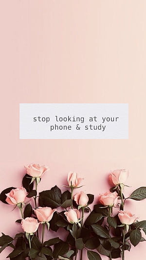 Study Mobile, Study Focus, HD phone wallpaper