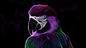Linux Parrot, HD wallpaper