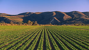 Top Rated Day Trips From San Luis Obispo, CA, HD wallpaper