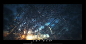 This, Network, HD wallpaper