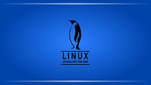 Linux, GNU Linux, HD wallpaper
