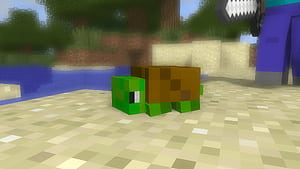 Minecraft Turtle, HD wallpaper