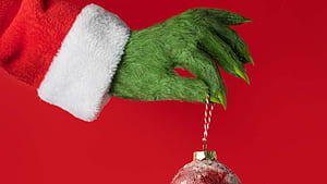 November News from KRSS. Kootenay River Secondary, Grinch Hand, HD wallpaper