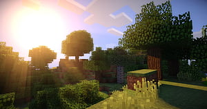 Minecraft Tree, HD wallpaper
