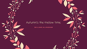 Time For Fall Computer, HD wallpaper