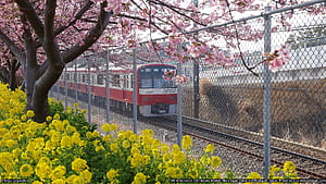 Train Spring, HD wallpaper