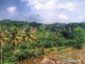 Idyllic Indonesian village view: Blue sky, white fluffy cl, HD wallpaper