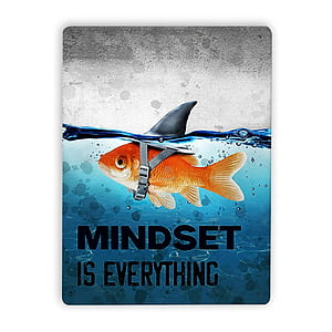 Mindset Is Everything, HD phone wallpaper