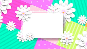 Text Box, HD wallpaper