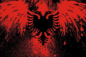 Albanian Eagle, Red Eagle, HD wallpaper