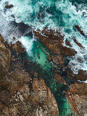 Australian Nature ., HD phone wallpaper