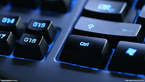 Computer Software , Computer Software Background on Bat, HD wallpaper