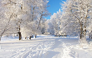 Winter Computer, Winter Theme, HD wallpaper