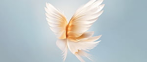 Angel wings , Blue background, Honor, Stock, HD wallpaper