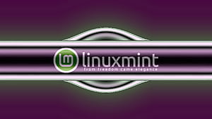 Linux Mint, Technology, Linux, HD wallpaper