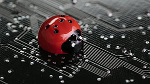 Software Testing Explained: A Guide, Software Tester, HD wallpaper