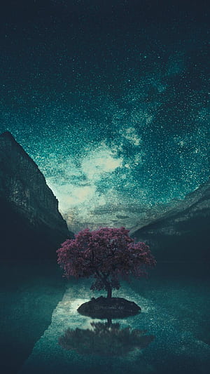 Space Tree, HD phone wallpaper