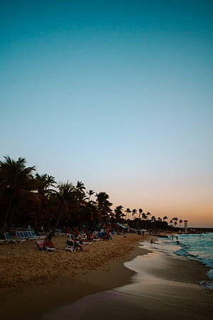 Bayahibe & Isla Saona, Dominican Republic: Best Things to Do. Dreams Become Wings, HD phone wallpaper