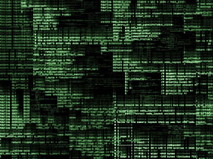 for Web Developers & Programmers, Web Coding, HD wallpaper