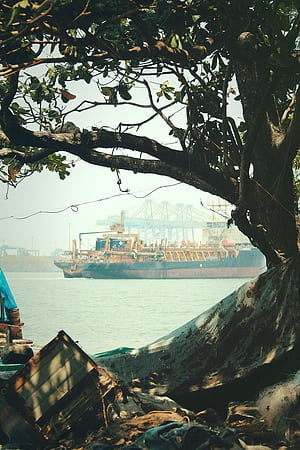 FORT KOCHI !, HD phone wallpaper