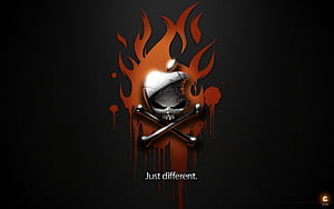 Boot Camp, Bootcamp, HD wallpaper