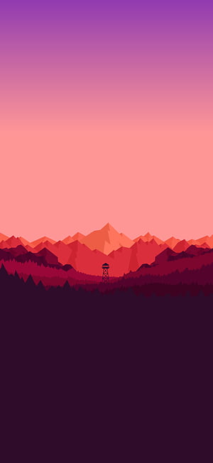 Forest Oled, HD phone wallpaper