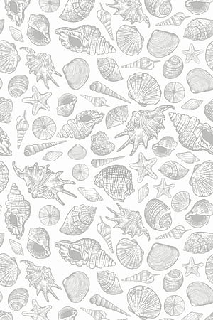 Seamless sea shell, Shell Pattern, HD phone wallpaper