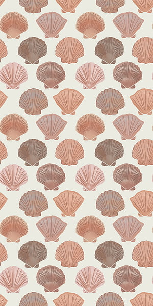 Shells, Shell Pattern, HD phone wallpaper
