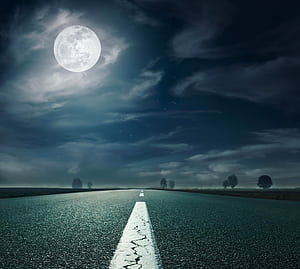 Moonlit Path, HD wallpaper