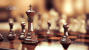 Chess Player, HD wallpaper